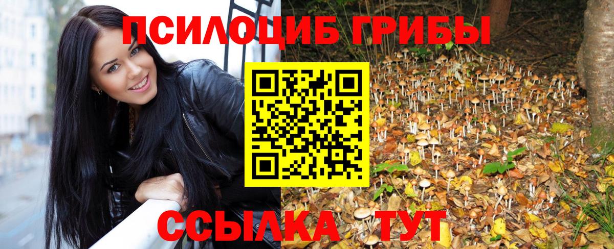 Псилоцибиновые грибы Psilocybine cubensis Прокопьевск