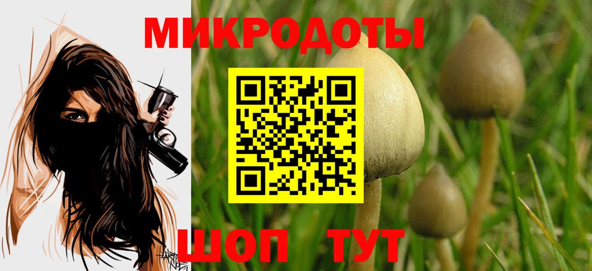 Галлюциногенные грибы Psilocybine cubensis  Вход с VPN  Прокопьевск  цена наркотик  Галлюциногенные грибы Cubensis 
